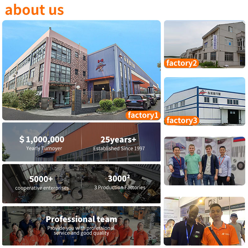 Alloy Circular Saw Blade Manufacturer Showcasing Proven Capabilities: With three major production bases, over 25 years of industry expertise, and serving more than 5,000 partner enterprises, our annual revenue exceeds one million USD. A dedicated professional team ensures the exceptional quality of every saw blade produced.